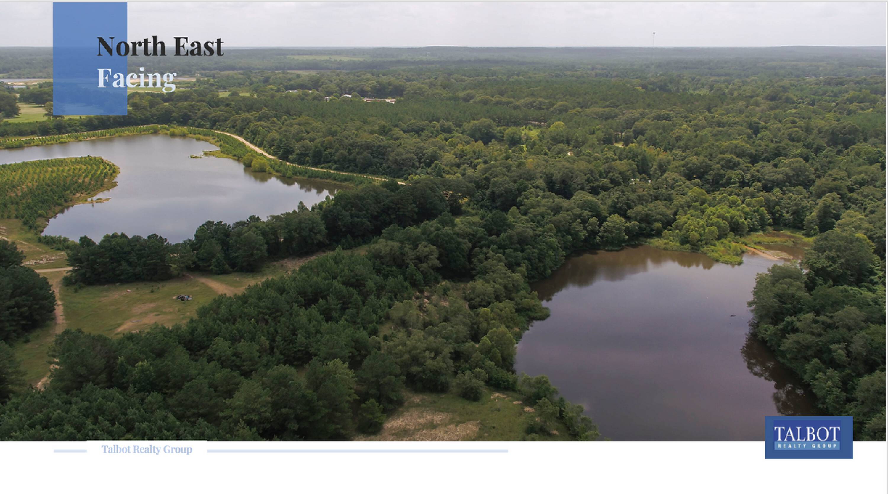 Land for Sale in Franklinton Louisiana 70438